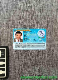 Italy ID (2006 - 2016) photolook FRONT